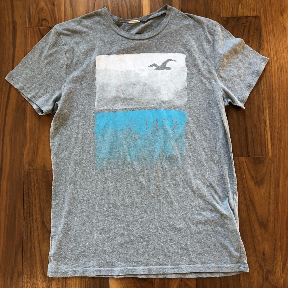 Mens Small Gray Hollister Graphic Crewneck T-Shirt